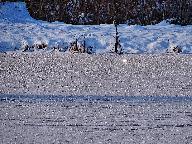 Winterstimmung am Oberen Weiher in Neufra 28.02.2018, Copyright: W. Schwenk