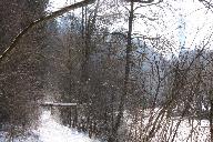 Naturschutzgebiet Neckarburg in Eisstarre 28.02.2018, Copyright: Heinz Zimmermann