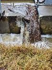 Hochwasserlage rund um Rottweil  23.01.2018, Copyright: W. Schwenk